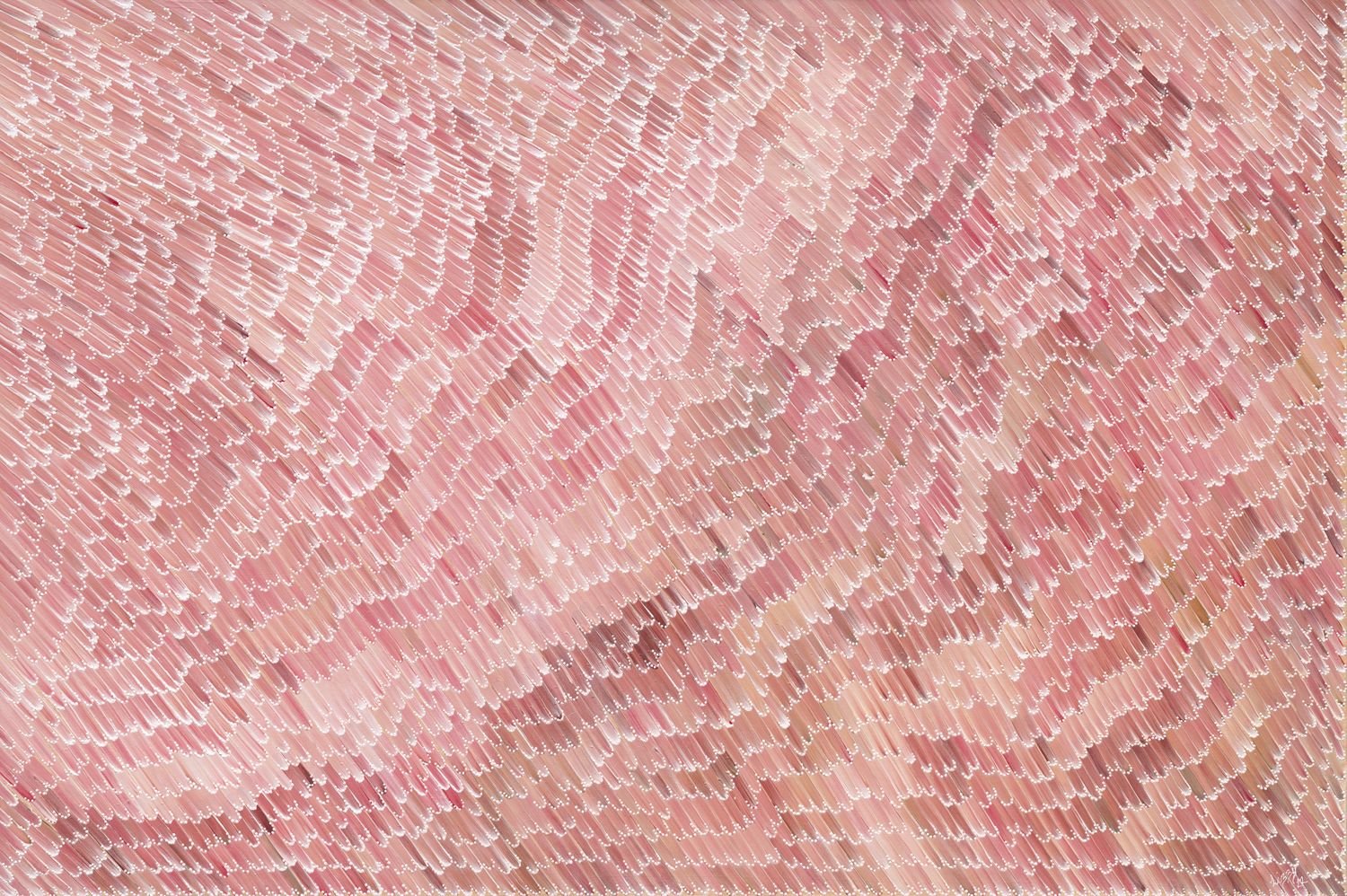 Marrunga Yubaa Part Two - Sun Showers